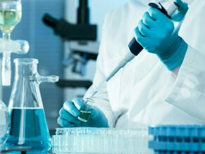81 или 67 Амурчане не могут понять почему официальные источники приводят разные данные по COVID