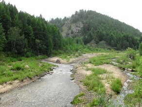 В истоках Амура уровень воды повысился почти на полметра