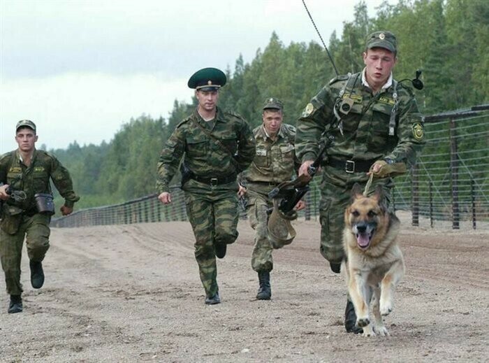 Ульяновских парней зовут охранять границы в Амурской области гарантируя подъемные
