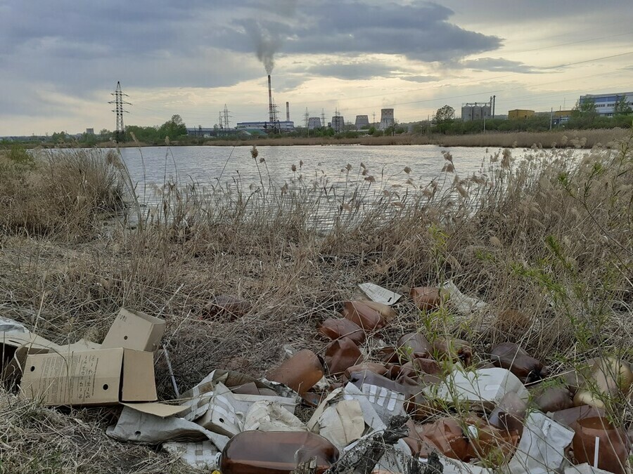 Житель Благовещенска выступил за спасение погибающих в черте города озер