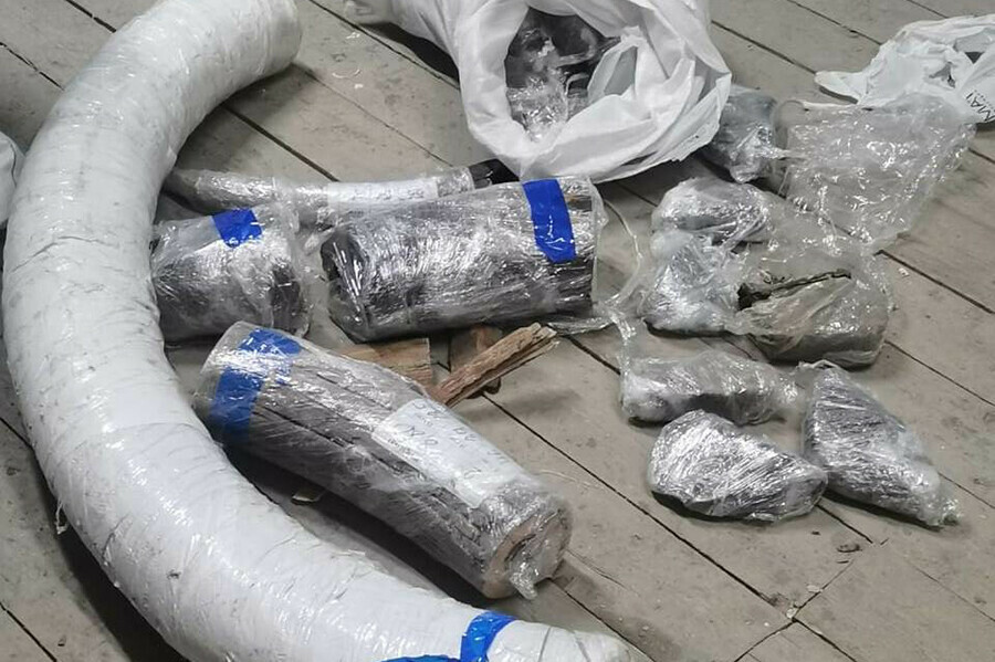 Дальневосточникиконтрабандисты могут сесть на 10 лет за вывоз в Китай и Нидерланды бивней мамонта 