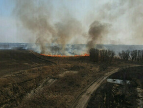Некоторые районы Амурской области готовятся к снятию особого противопожарного режима
