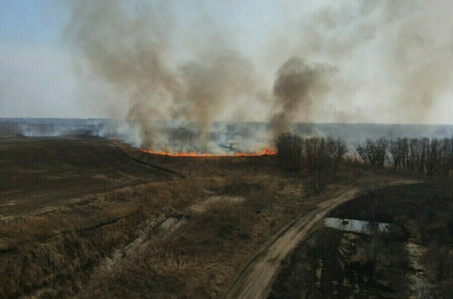 Некоторые районы Амурской области готовятся к снятию особого противопожарного режима