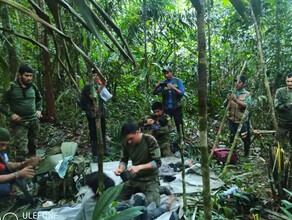 Радость для всей страны в джунглях через 40 дней нашли детейпассажиров с разбившегося самолета