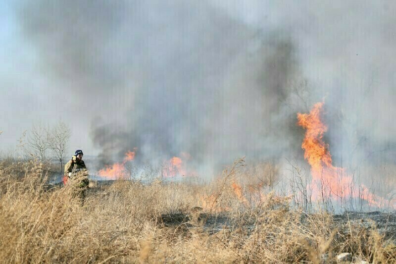 В некоторых районах Амурской области отменяется особый противопожарный режим