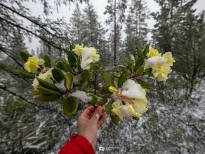 У северных границ Амурской области выпал июньский снег