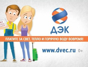 Оплати и лети энергетики дают амурчанам совет как отправиться в отпуск без проблем