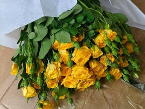 Чистые розы гвоздики лилии и хризантемы привезли в Приамурье из Китая