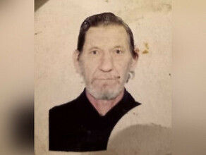 Пожилого мужчину пропавшего еще в апреле продолжают искать в Амурской области