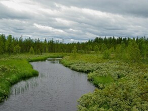 В Якутии вертолет Ми8 совершил аварийную посадку