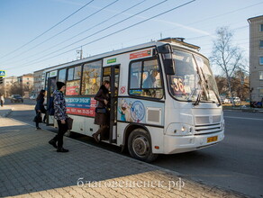 Благовещенцы подали 350 предложений по изменению автобусных маршрутов