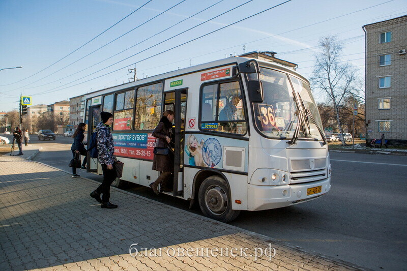 Благовещенцы подали 350 предложений по изменению автобусных маршрутов