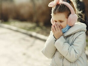 В Амурской области выросла заболеваемость ОРВИ и внебольничными пневмониями Особенно среди детей