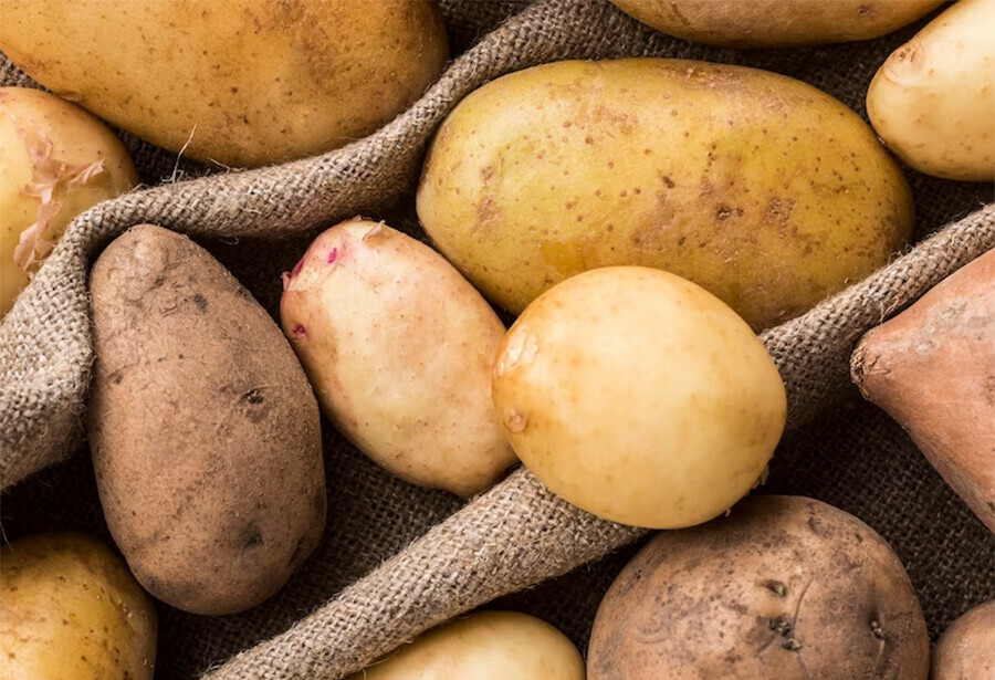 В Амурской области задумались о строительстве завода по переработке картофеля