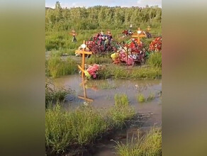 Люди приходят в ужас в Приамурье захоронения оказались в воде видео