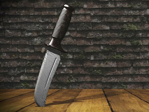 В Свободном один амурчанин  нанес другому удар ножом в шею Дело ушло в суд