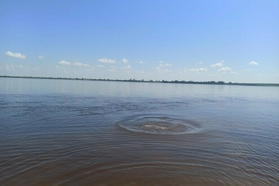 Спасал ребенка стали известны подробности происшествия на Зее в Благовещенске