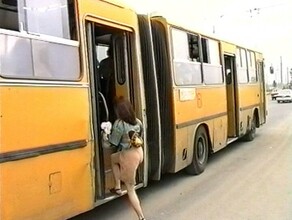 Автобусы ходят как неверные любовницы Благовещенцы об общественном транспорте в 1995 году