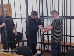 Амурчанина обвиняемого в финансировании ВСУ заключили под стражу в Благовещенске видео
