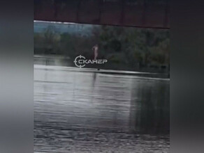 Детей прыгающих в реку с моста сняли на видео в Приамурье 