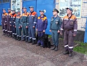 В Амурской области на поиски 12летнего Толи Путилина отправились спасатели и кинологи МЧС России О помощи попросил отец