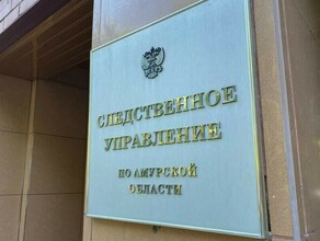 Председатель СК РФ потребовал доклад по расследованию массового отравления детей в лагере Приамурья 