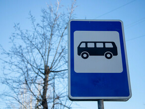 Более 100 новых автобусных остановок появится в Приамурье 