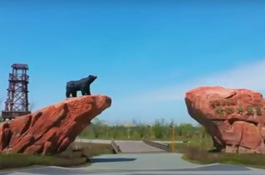 Бесплатное возвращение в Китае для российских туристов разработали льготную программу видео