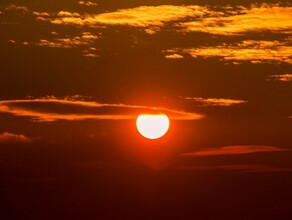 До 34 градусов жара усилится в Приамурье на текущей неделе