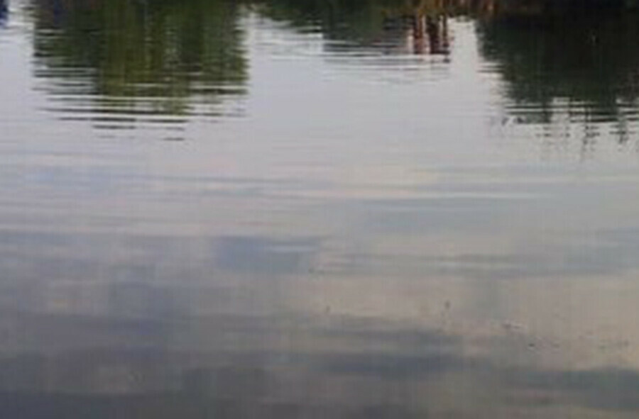 Найдено тело мальчика утонувшего в водоеме около амурского села Восточное
