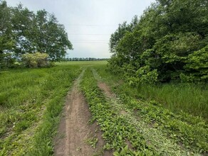 Можно найти кусочки старинной керамики в Приамурье впервые показали участок земли представляющий историческую ценность фото 