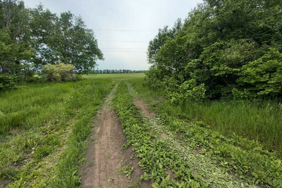 Можно найти кусочки старинной керамики в Приамурье впервые показали участок земли представляющий историческую ценность фото 