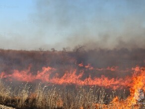 Изза пожаров в одном из районов Амурской области вновь ввели режим ЧС в лесах