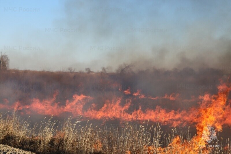 Изза пожаров в одном из районов Амурской области вновь ввели режим ЧС в лесах