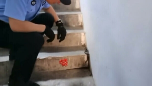 В Хэйхэ полицейский голыми руками поймал ядовитую змею в центре города