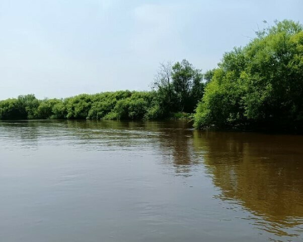 Поисковики нашли тело девочки пропавшей на дамбе в Амурской области