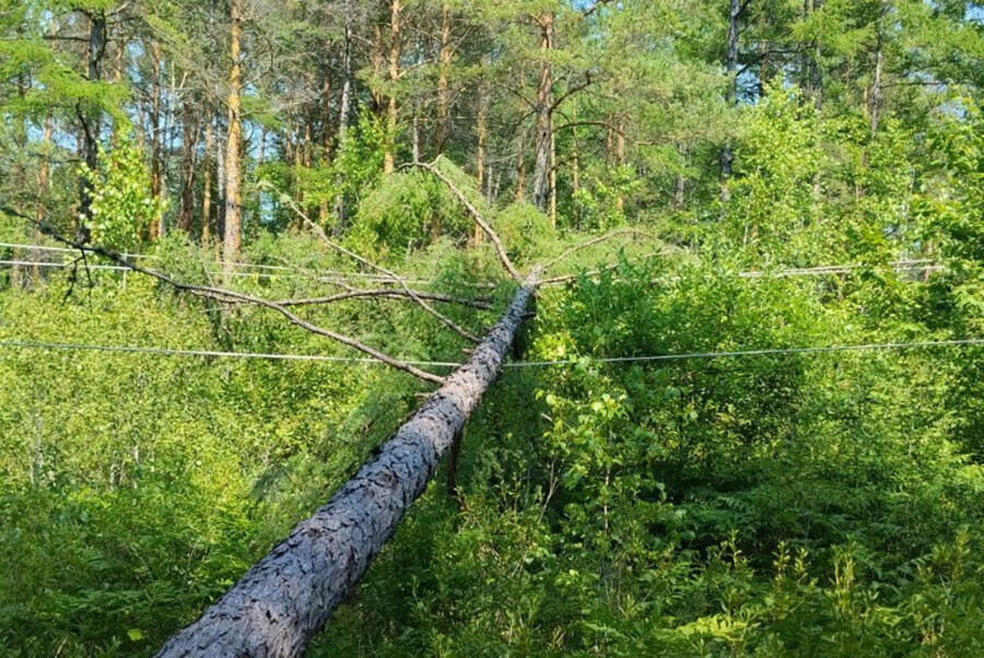 Сёла в Амурской области остались без света изза черных лесорубов