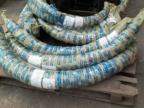 Более 3 тысяч килограммов бивней мамонта вывезли в Китай из Приамурья
