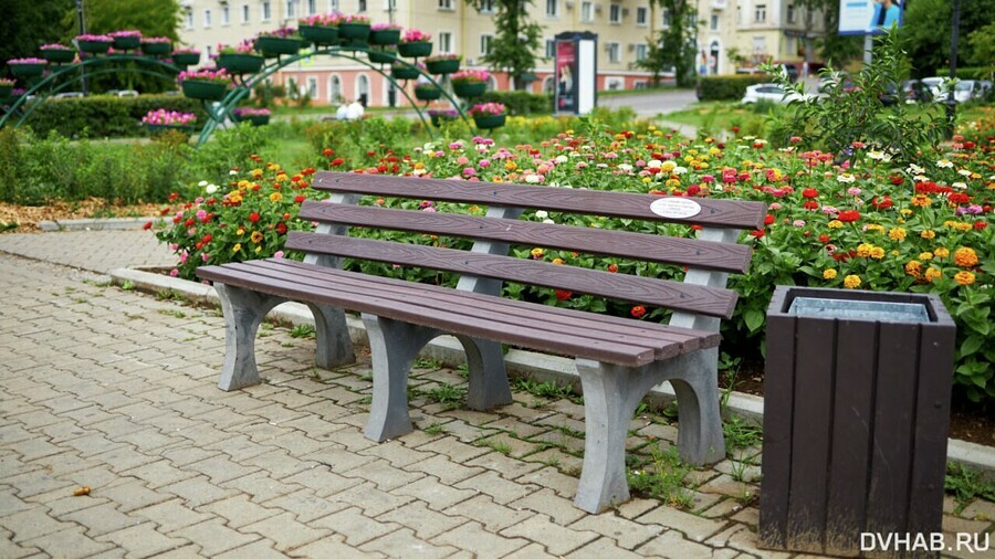 В Хабаровске мэрия начала устанавливать вечные скамейки