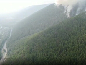 Изза пожаров на всей территории Амурской области введен режим ЧС в лесах 