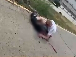 Погибла ехавшая с мужчиной на электросамокате девушка фото видео 18