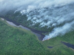 Пламя рвется изпод земли в Амурской области горит Норский заповедник фото видео