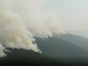В Амурской области продолжают бушевать пожары в лесах В Селемджинском районе ввели ОПР видео