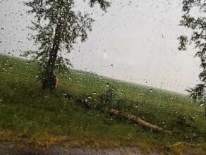 Грозовой фронт прошел по трассе Благовещенск  Белогорск и повалил деревья фото видео