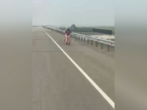 Амурчанку на роликовых лыжах заметили на дороге ведущей к международному мосту в Китай фото видео 