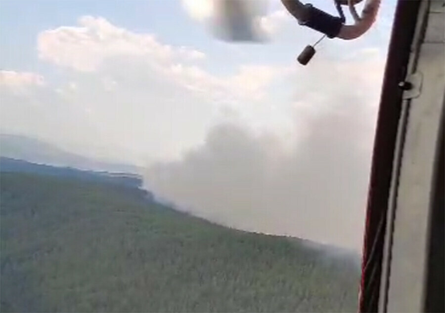 Почти 40 пожаров полыхают в лесах Амурской области Работают больше 500 пожарных видео