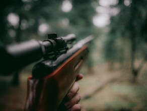 В Амурской области запретили охоту Когда и на кого можно будет охотиться