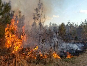 В Приамурье предложили закрыть противопожарный сезон 2 ноября 