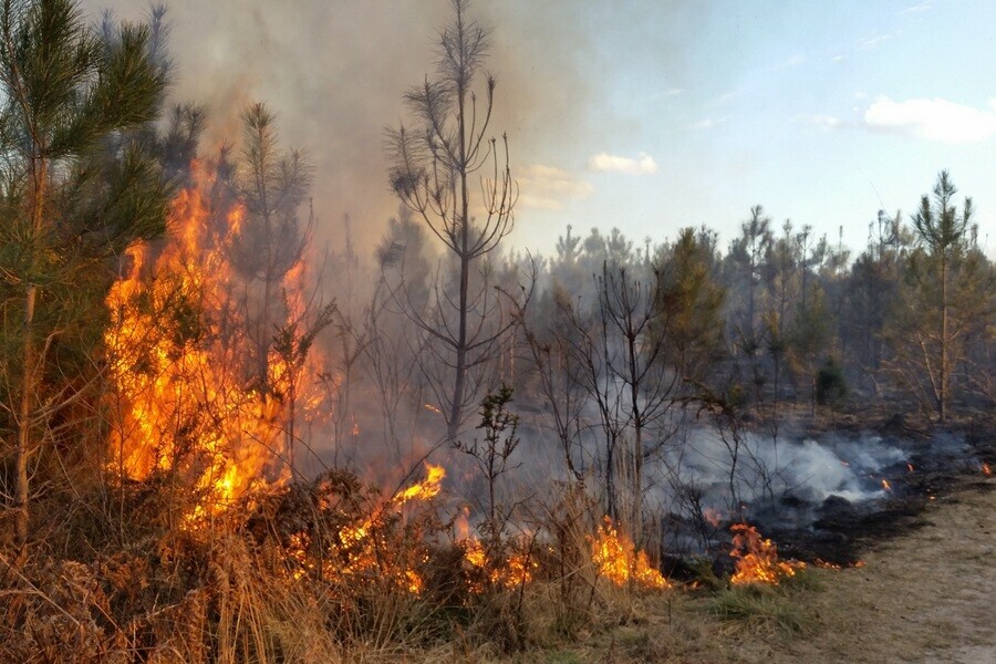В Приамурье предложили закрыть противопожарный сезон 2 ноября 