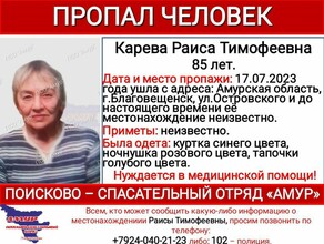 В Благовещенске бабушка в ночнушке и тапочках ушла в ночь из дома